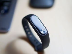 小米手环3震撼来袭 米家众筹运动新品，智能穿戴新篇章