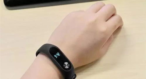 智能手环选购指南与热门型号推荐